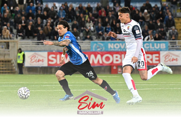 sim immobiliare novara